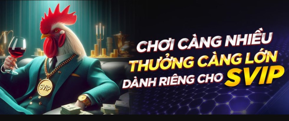 khuyến mãi vip