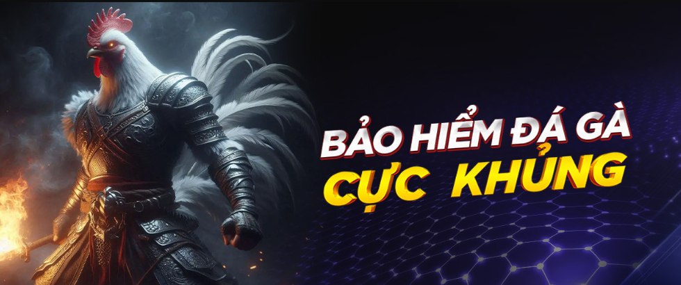 bảo hiểm đá gà