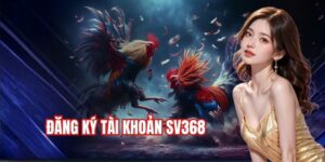 Hướng dẫn đăng ký tài khoản sv368