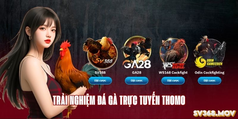 đa dạng sảnh cá cược 
