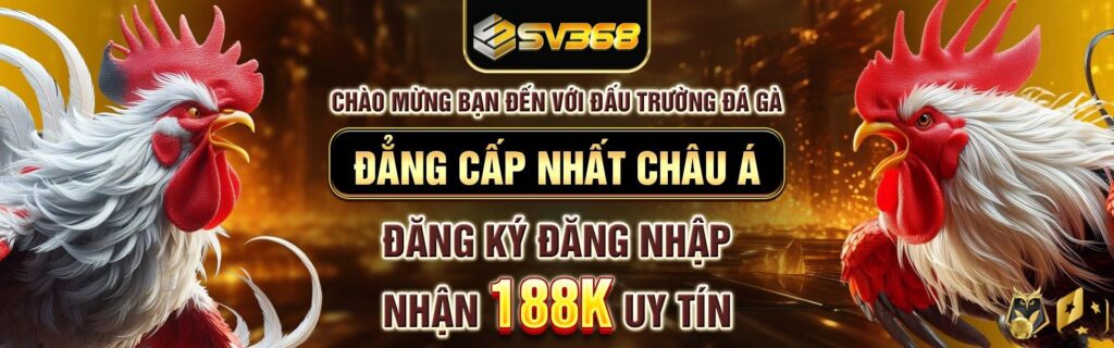 Trang chủ sv368 